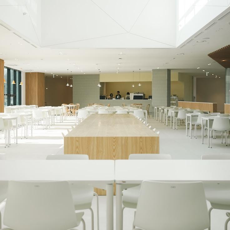 School choices for expat families in Florence, Italy